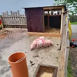 Stockachhof *